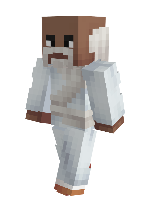 Skin giocatore